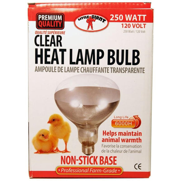 LITTLE GIANT CLEAR HEAT LAMP BULB (250 WATT)