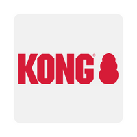 kong logo