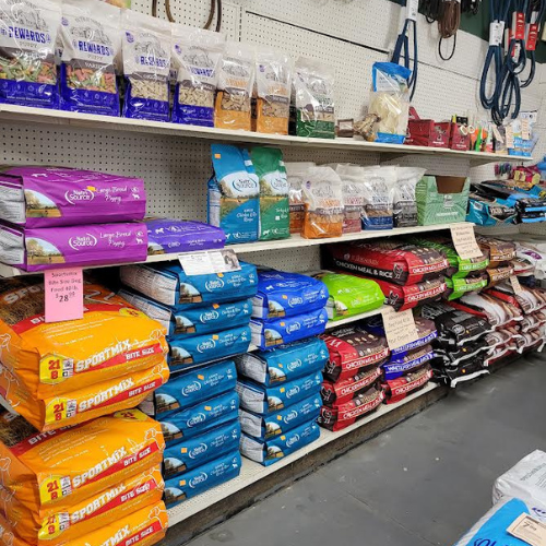 dog food and treats