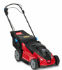 Toro 60V MAX  Stripe™ Self-Propelled Mower