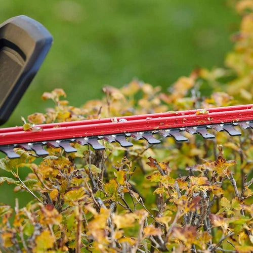 Toro 60V Max Hedge Trimmer with 2.5Ah Battery