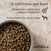 Diamond Naturals Lamb Meal & Rice Adult Dry Dog Food (40-lb)